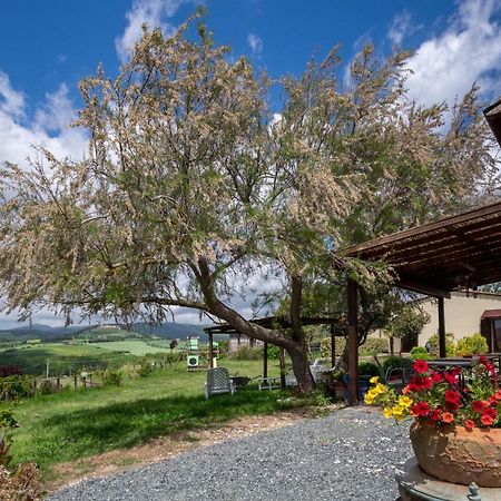 Agriturismo Il Canterino Guardistallo Luaran gambar
