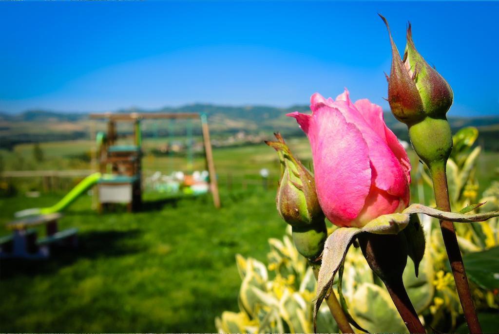 Agriturismo Il Canterino Guardistallo Luaran gambar