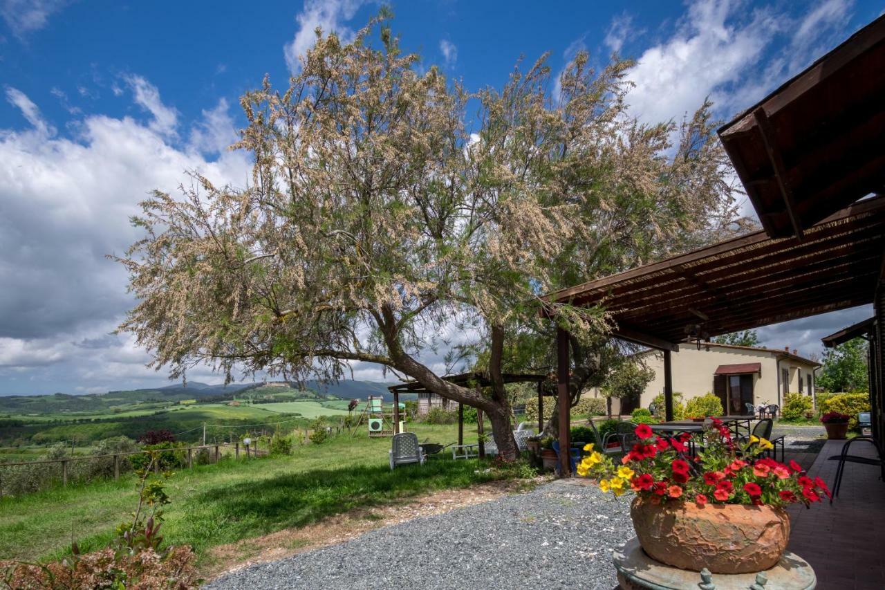 Agriturismo Il Canterino Guardistallo Luaran gambar